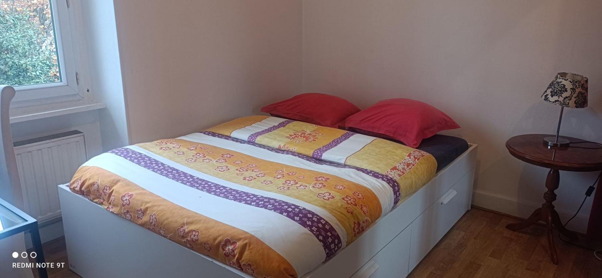 Chez Anne-sophie Apartment Villeurbanne